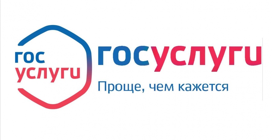 Правительства РФ утвердило правила использования портала "Госуслуги" для организации и проведения публичных слушаний