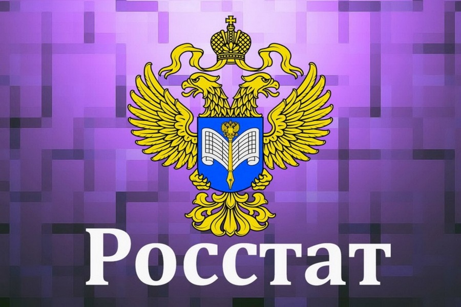 Росстат обновил Базу данных показателей муниципальных образований. 