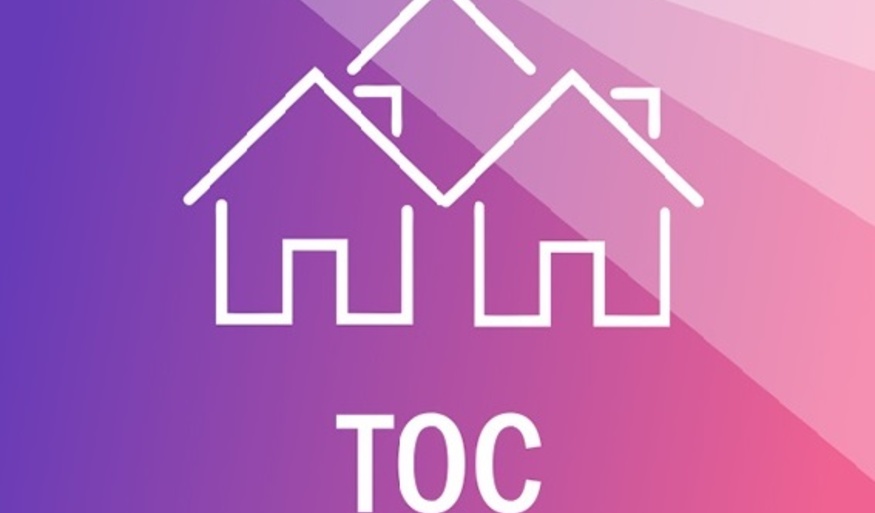 Практика деятельности ТОС «Толмачево».