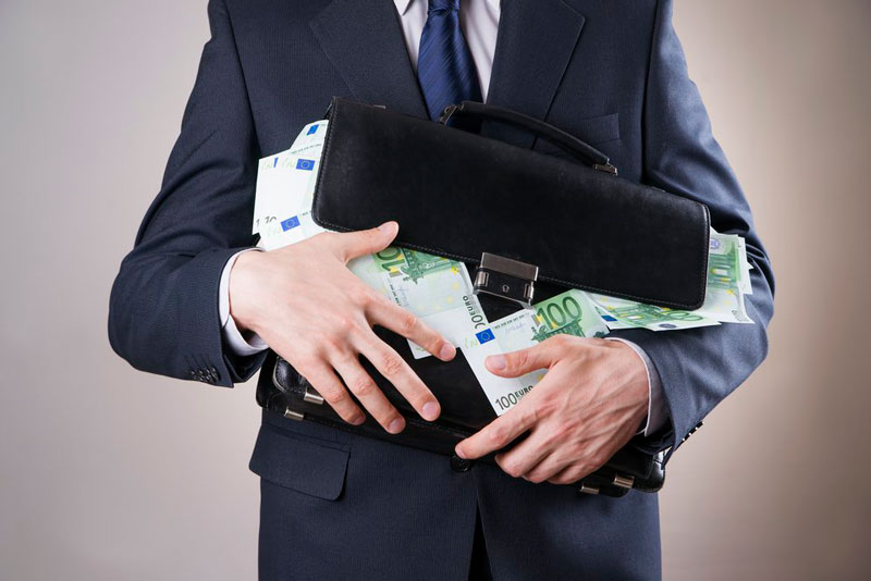КС разобрался с доходами чиновников от подсобного хозяйства