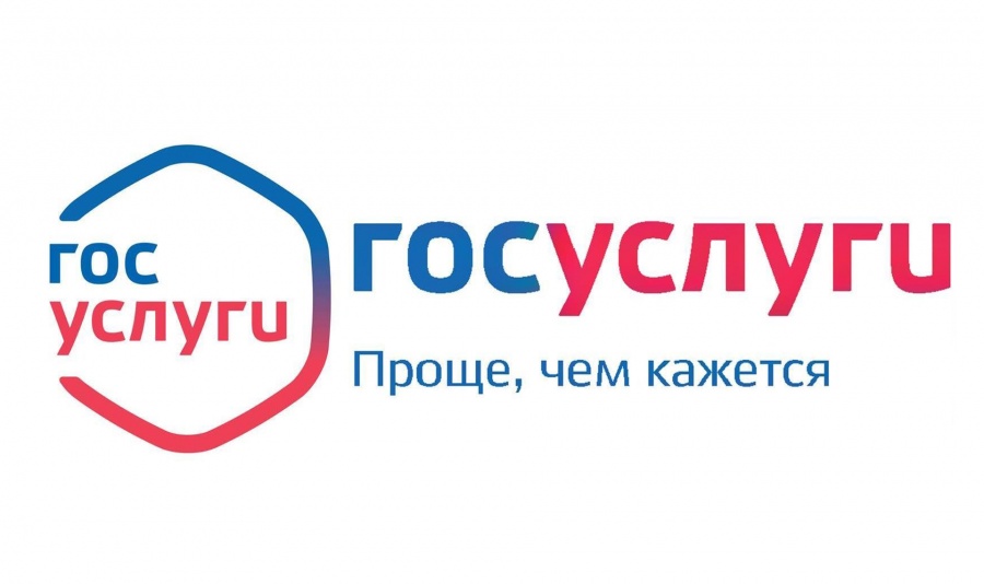 Госуслуги приблизились к избирателю