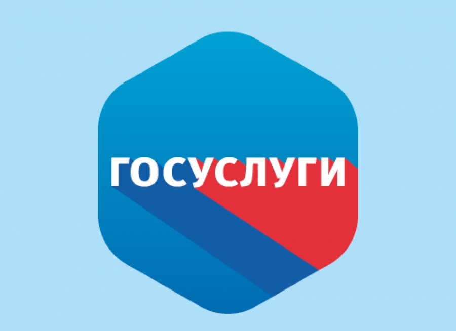 На «Госуслугах» открыли голосование за населённые пункты, которые подключат к интернету