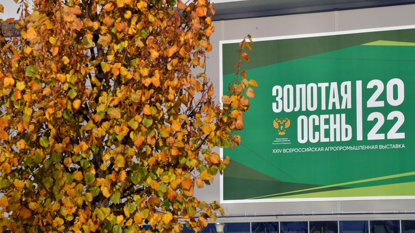 Медведовское сельское поселение получило золотую медаль на конкурсе лучших практик проектов  по благоустройству сельских территорий